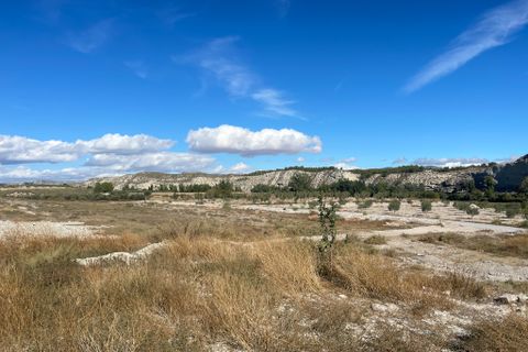Cave house i Benamaurel, Granada, Benamaurel - € 75.000 | Ref: cs2217 - foto 9